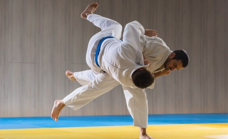 Võ Judo nghĩa là gì?